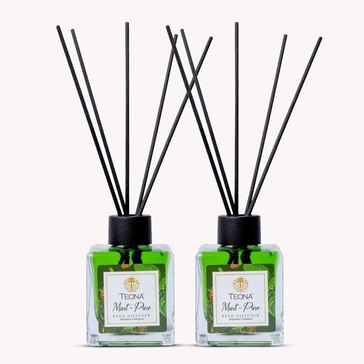 2’li Mint Pine Bambu Çubuklu Oda Kokusu 110 ml