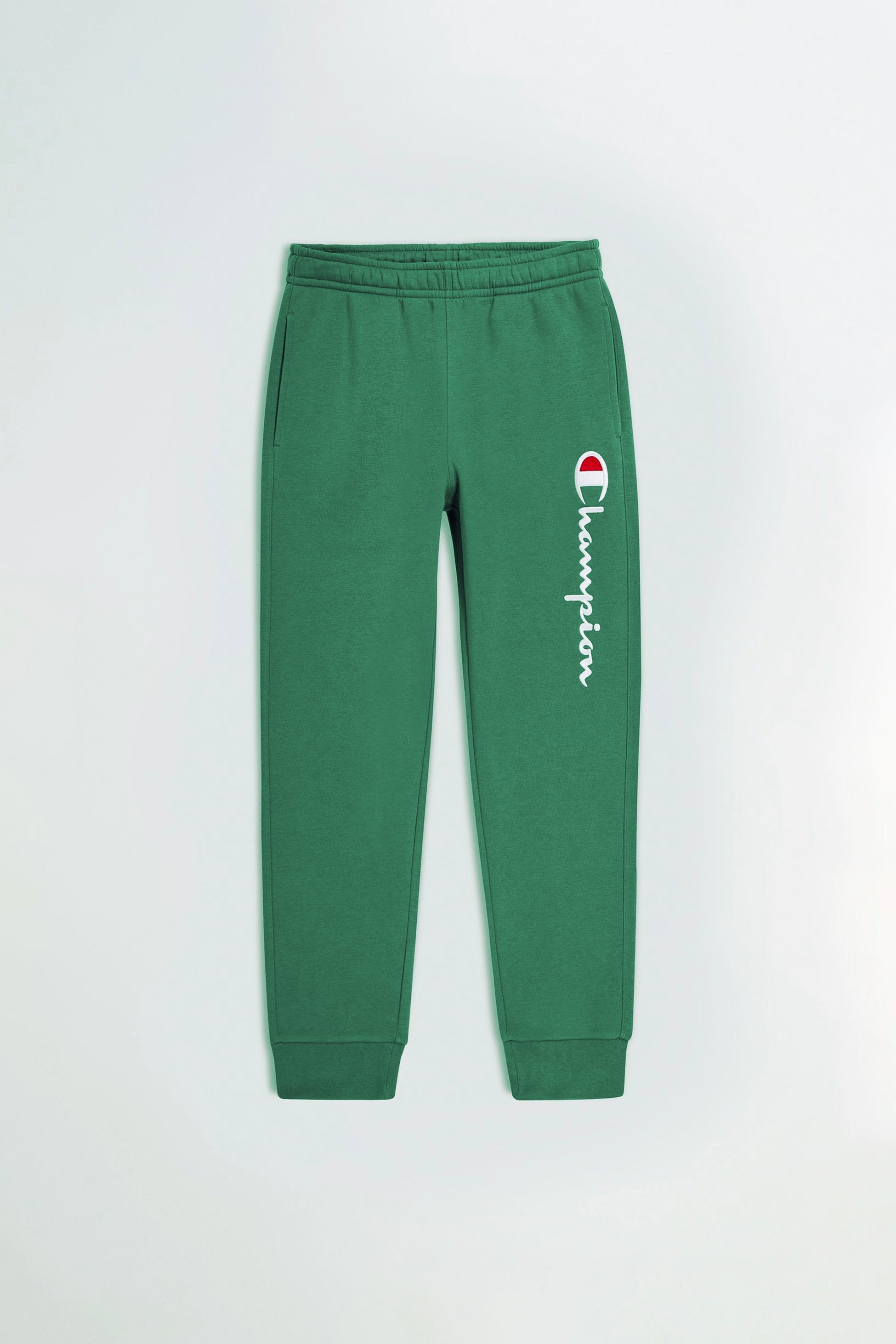 Leg Embroidered Fleece Joggers - Yeşil