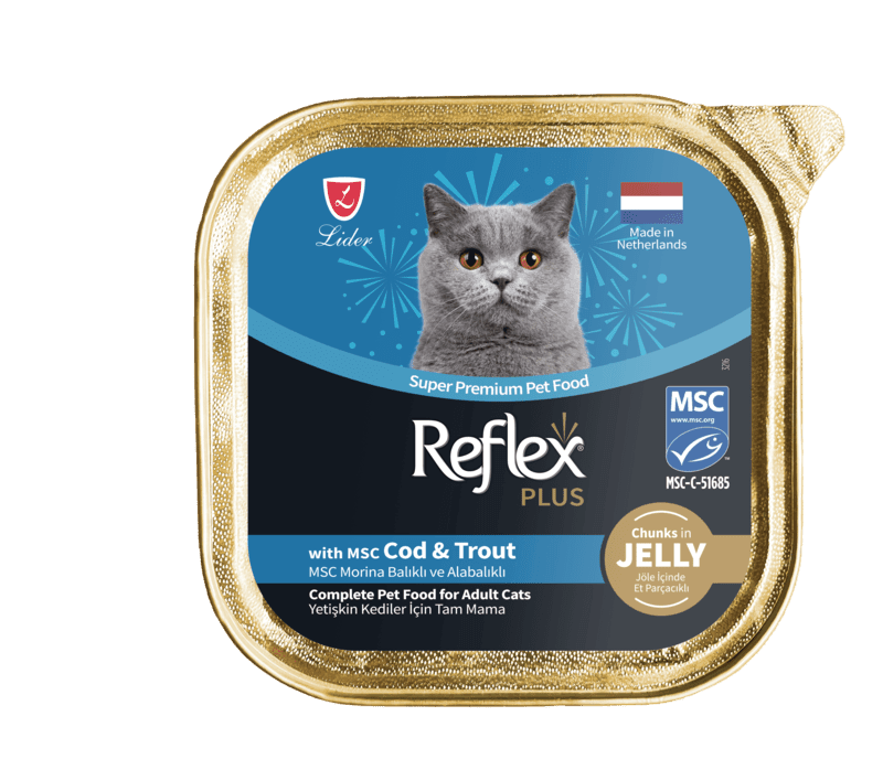 REFLEX PLUS MSC MORİNA BALIKLI VE ALABALIKLI YAŞ MAMA 85 G 