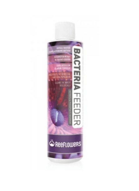 Reeflowers Bacteria Feeder