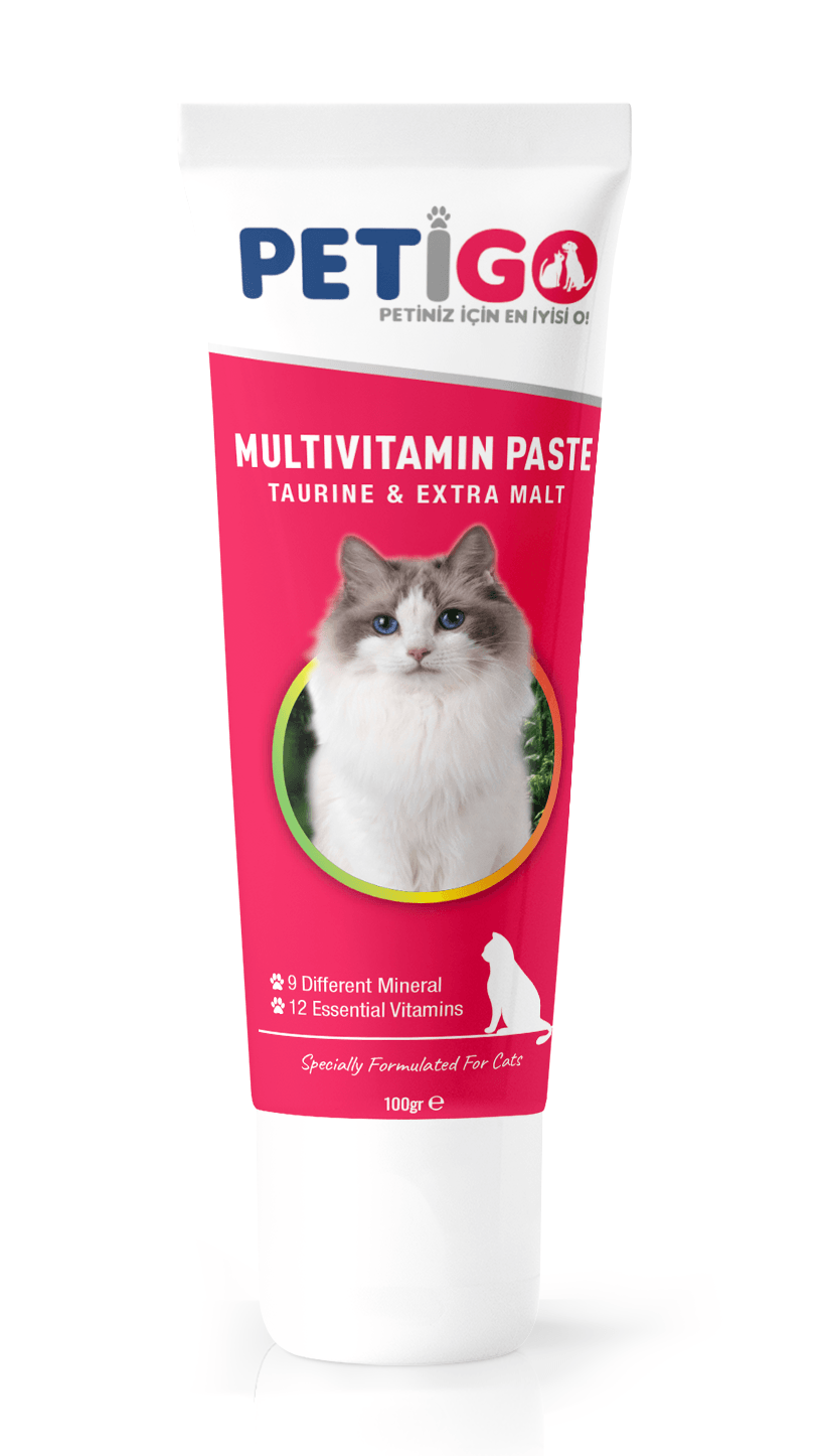 PETİGO MULTİ VİTAMİN PASTE 