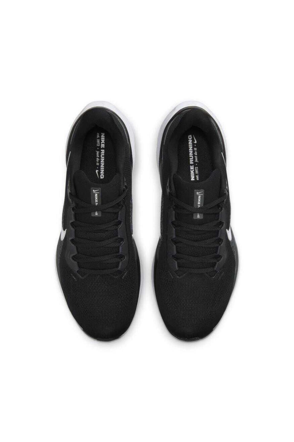 Aır Zoom Pegasus Erkek Ayakkabı Fd2722-002