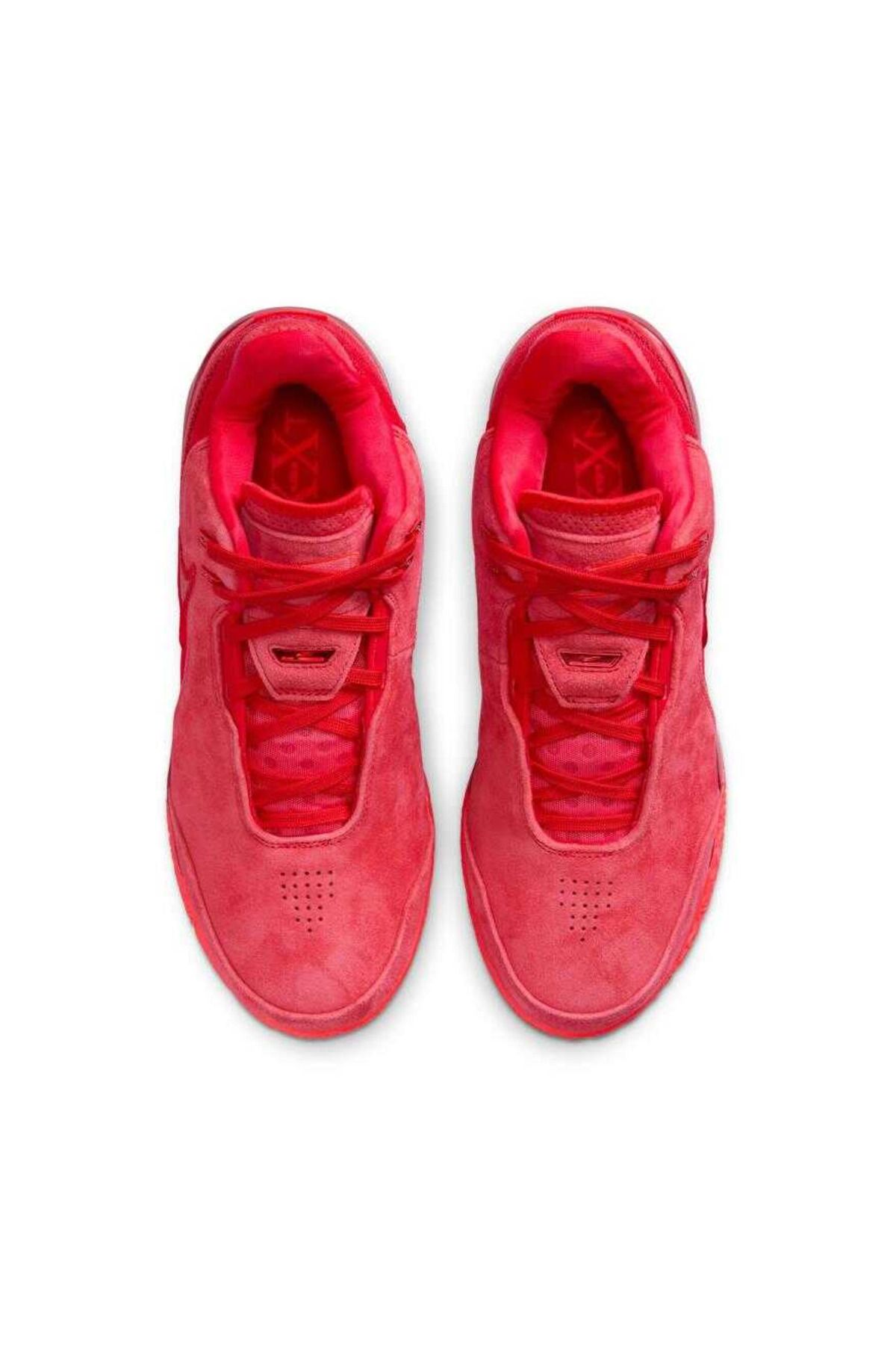 NİKE LeBron NXXT Gen Ampd Erkek FJ1566-600