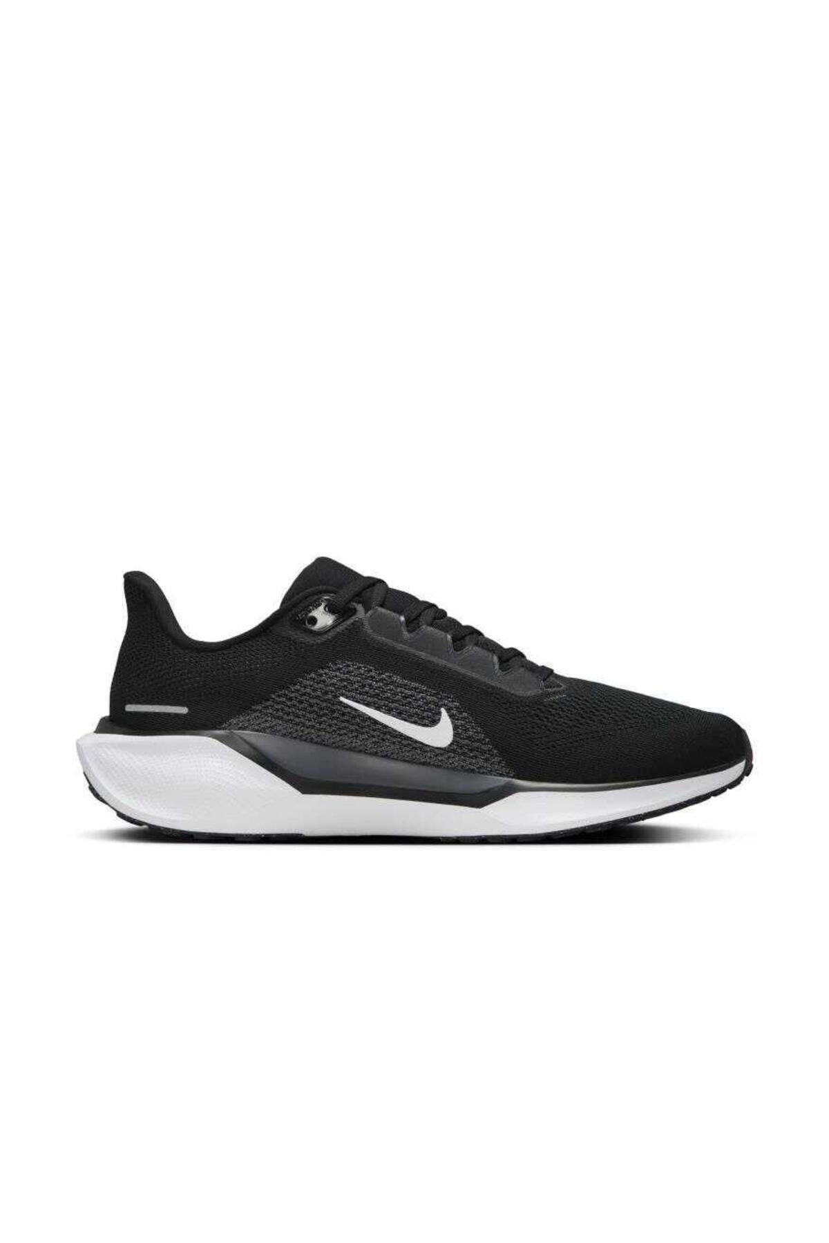 Aır Zoom Pegasus Erkek Ayakkabı Fd2722-002