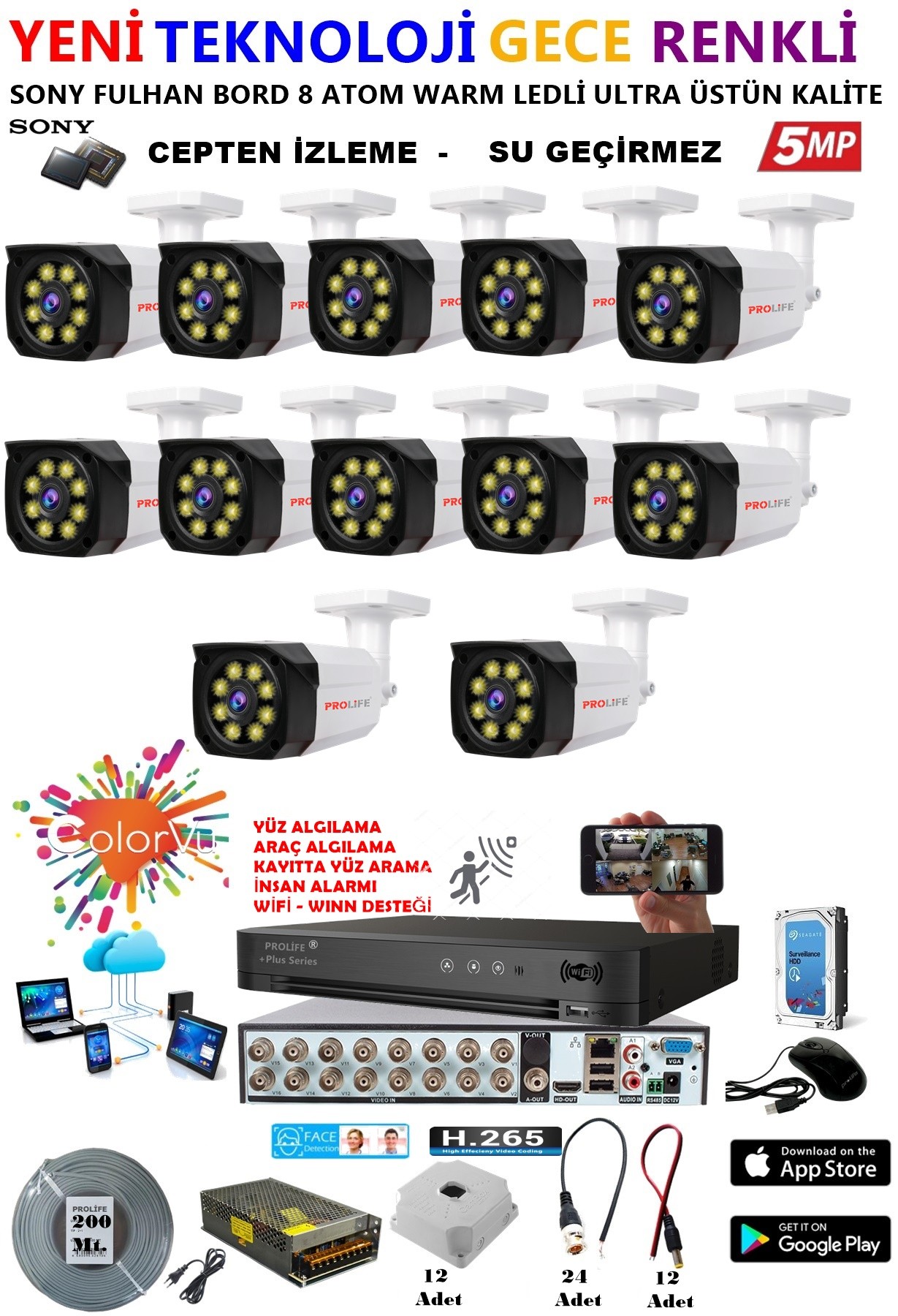 12 Kameralı 5 MP Gece Renkli Yapay Zeka Yüz ve Araç Algılamalı Olay Anı Bildirimli Kuruluma Hazır Kamera Seti