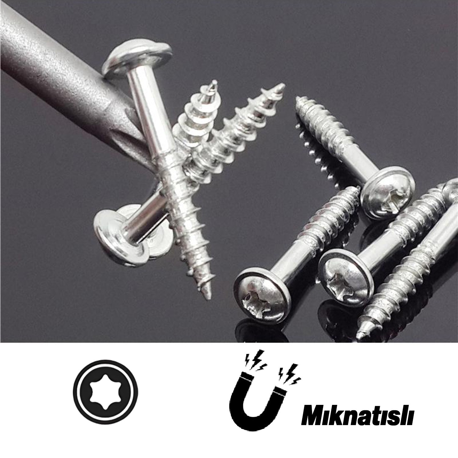 Mıknatıslı Torx T30 Bits Uç 50 mm 10'lu Set Kutulu Manyetik 1/4" Matkap Ucu Tork 5 cm Uzunluk