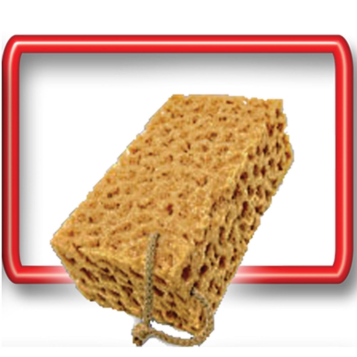 Oto Araç Yıkama Süngeri Jumbo Sünger 23x13x7 Cm Temizlik Bulaşık Süngeri