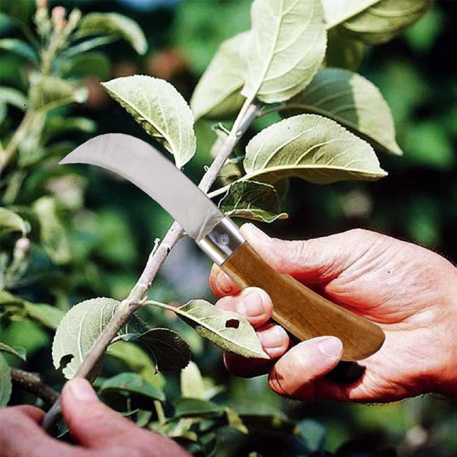 Plastik Saplı Bıçak Çakı Aşı Bıçağı Profesyonel Çelik Eğri Uçlu Bağ Ağaç Budama Aşı Çakısı 220 mm 