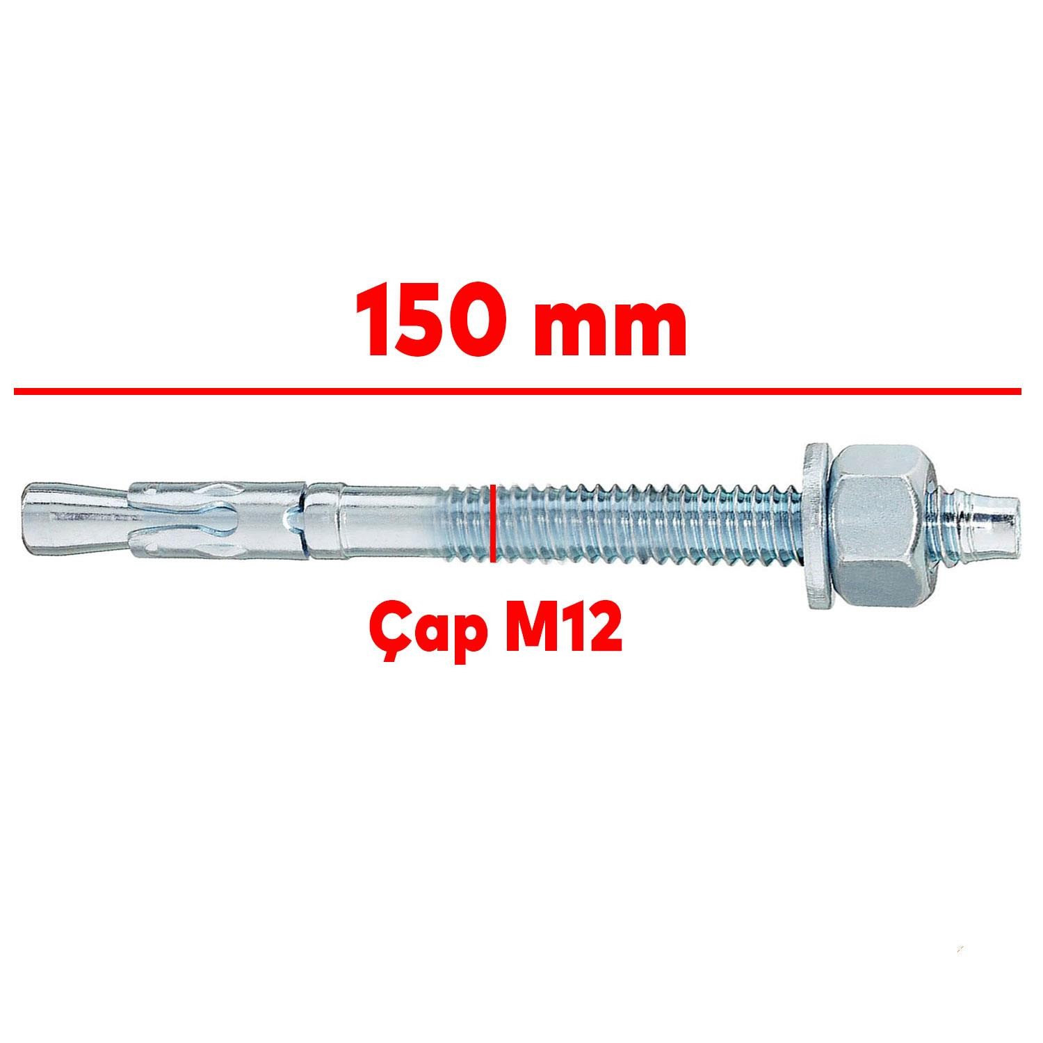 Klipsli Çelik Dübel M12x150 mm