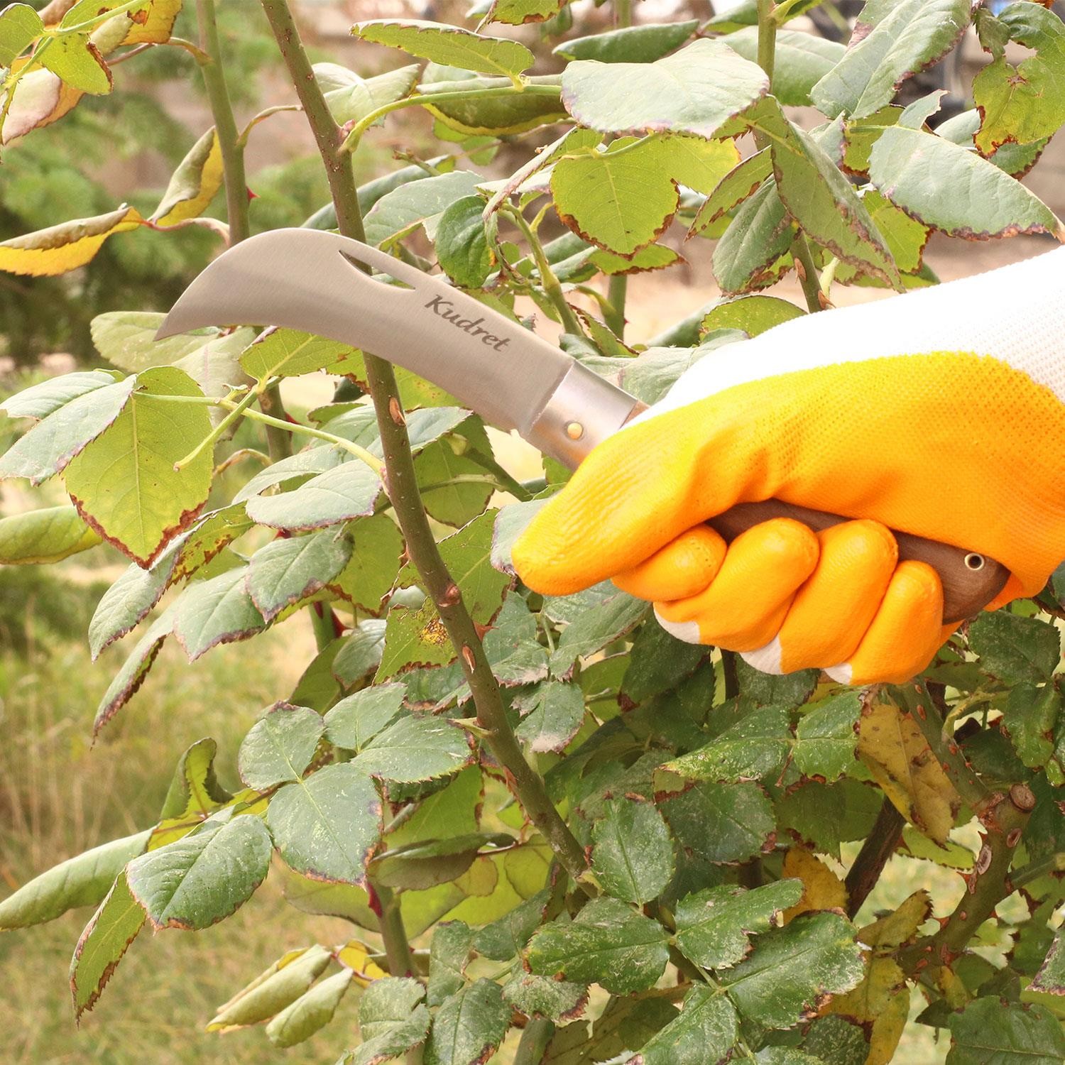 Kudret Aşı Bıçağı Bağ Bıçağı Eğri Uçlu Paslanmaz Çelik Ara Çakı 21 cm
