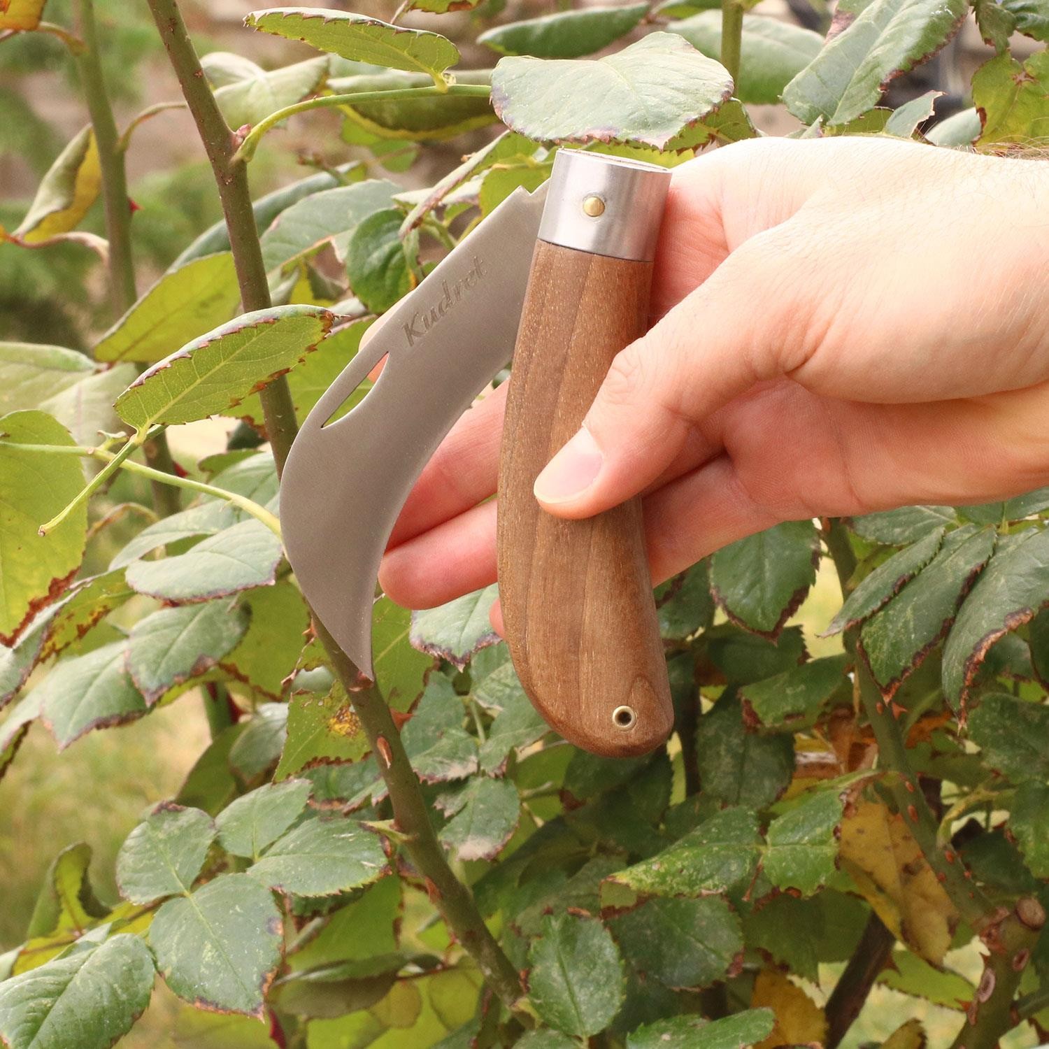 Kudret Aşı Bıçağı Bağ Bıçağı Eğri Uçlu Paslanmaz Çelik Ara Çakı 21 cm