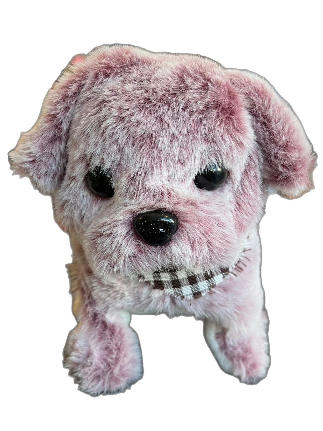 Zıplayan Köpek Mor