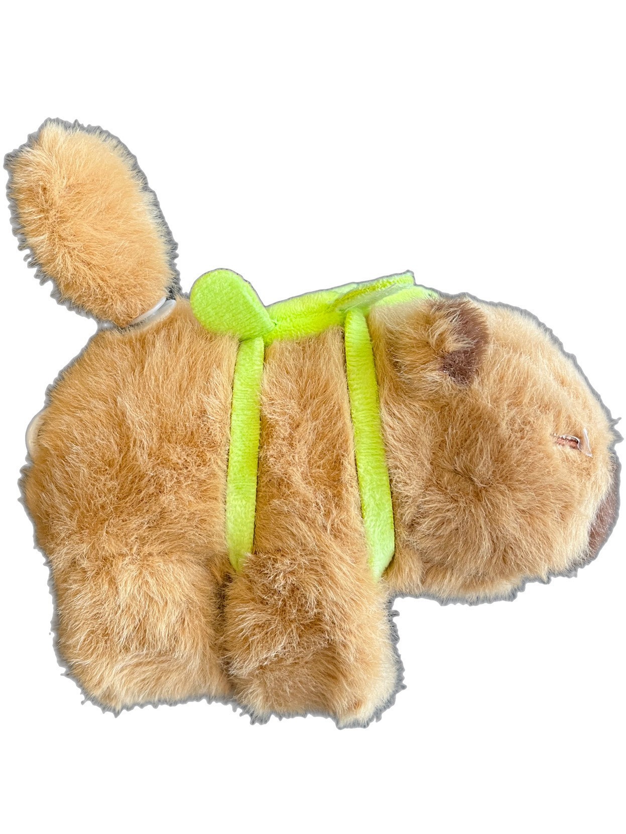 Capybara Kuyruğu Dönen Kola Sarılan Müzikli Işıklı
