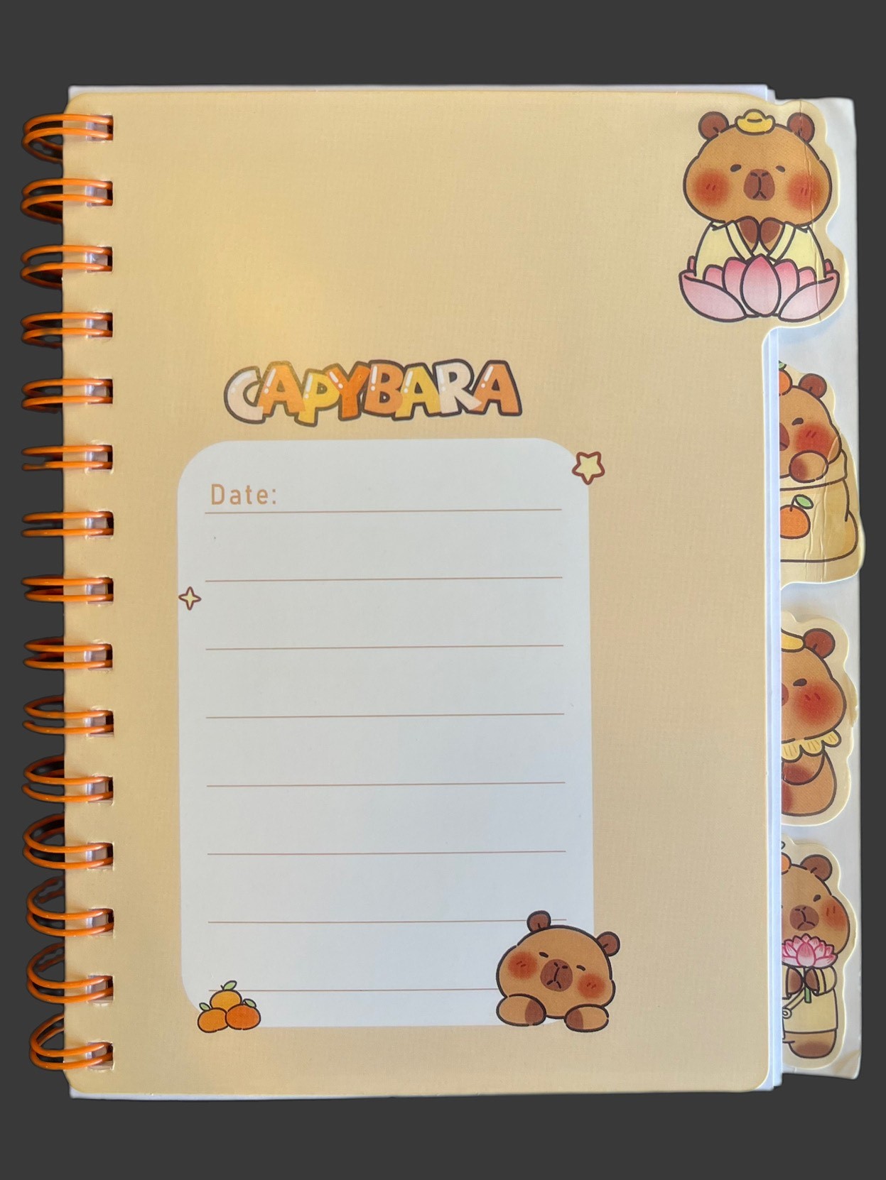 Capybara Hologram Kapak Ayraçlı Defter Çizgili