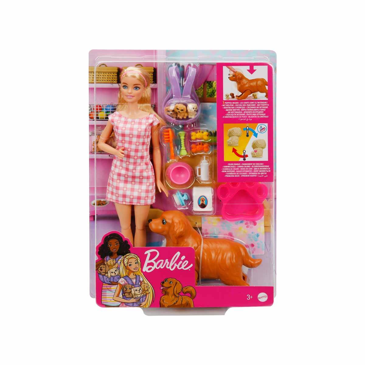 Barbie ve Hayvan Dostları HCK75