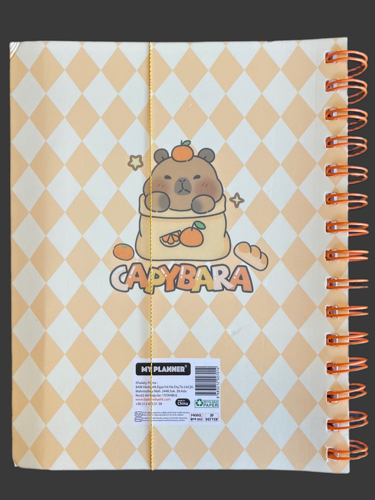 Capybara Hologram Kapak Ayraçlı Defter Çizgili