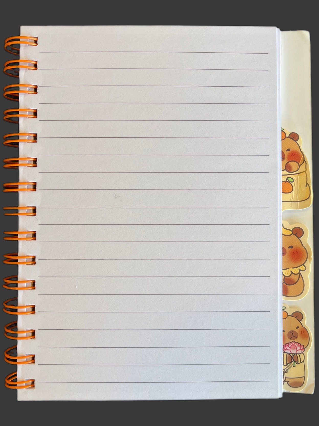 Capybara Hologram Kapak Ayraçlı Defter Çizgili