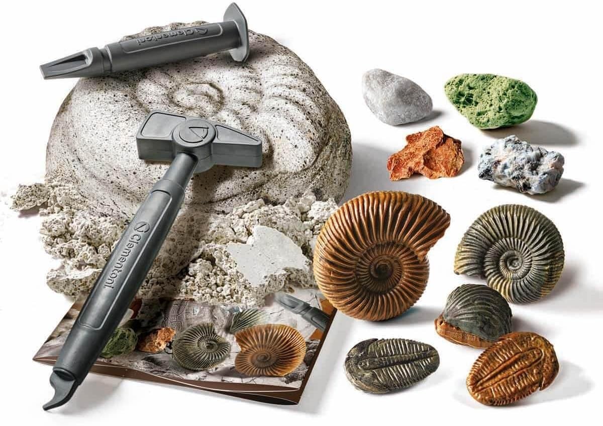 Bilim ve Oyun Fosiller ve Mineraller Kazı Seti 64336