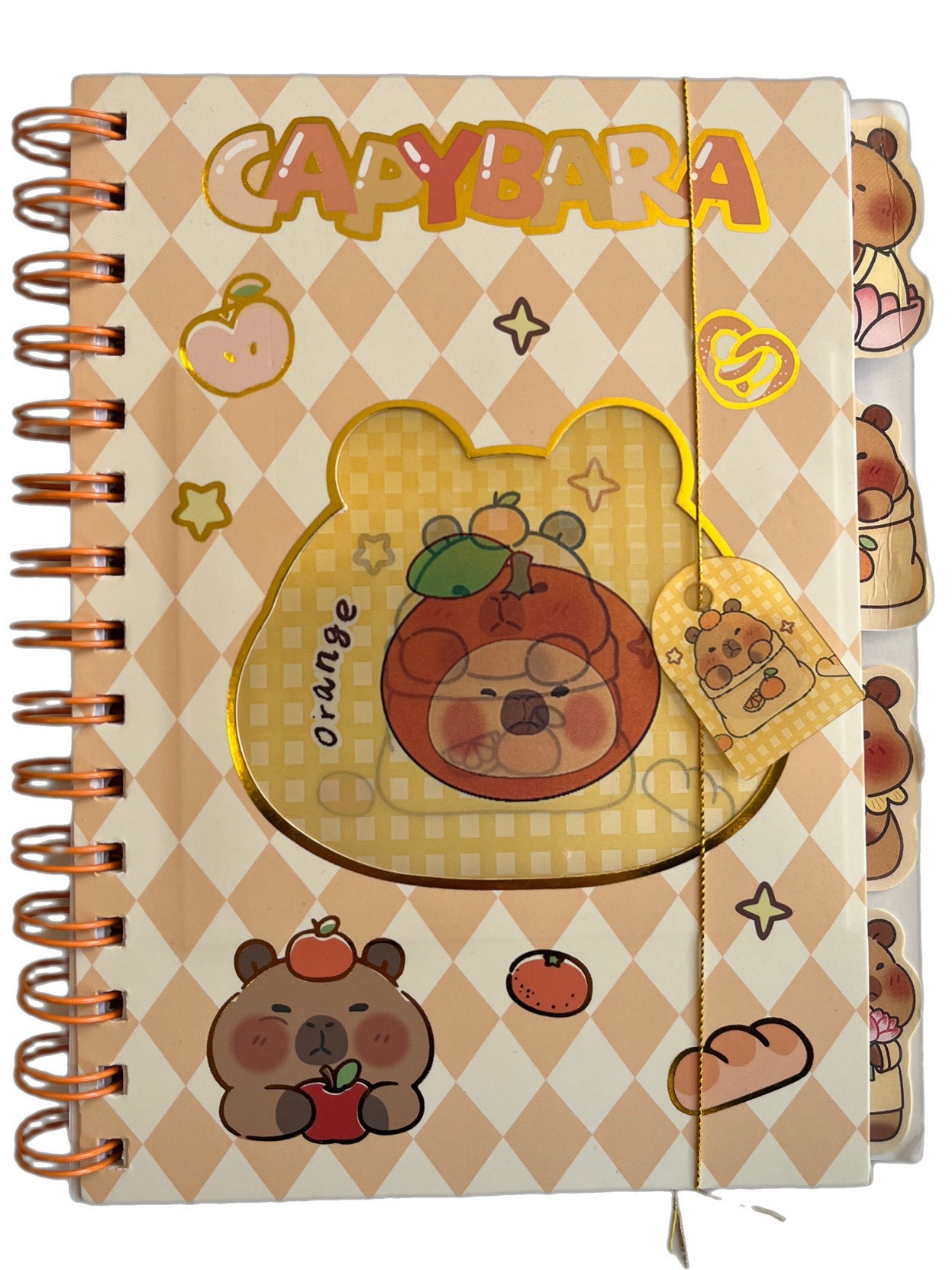 Capybara Hologram Kapak Ayraçlı Defter Çizgili