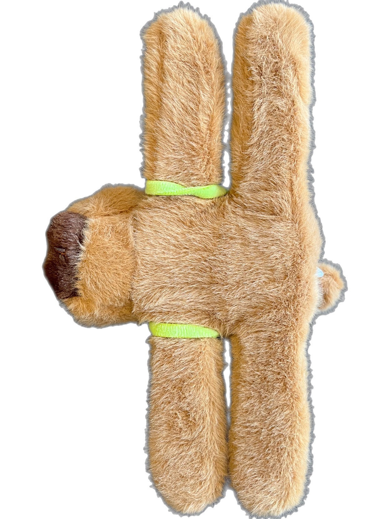 Capybara Kuyruğu Dönen Kola Sarılan Müzikli Işıklı