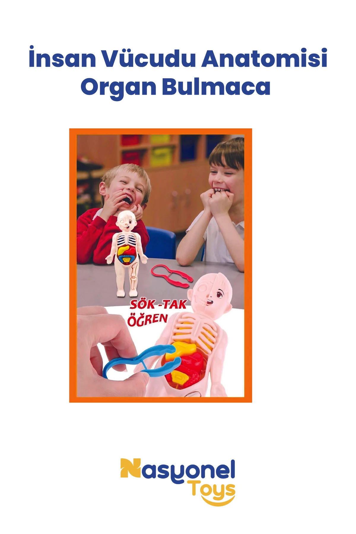 İnsan Vücudu Anatomisi Organ Bulmaca – Eğitici Sök Tak Vücut Modeli –