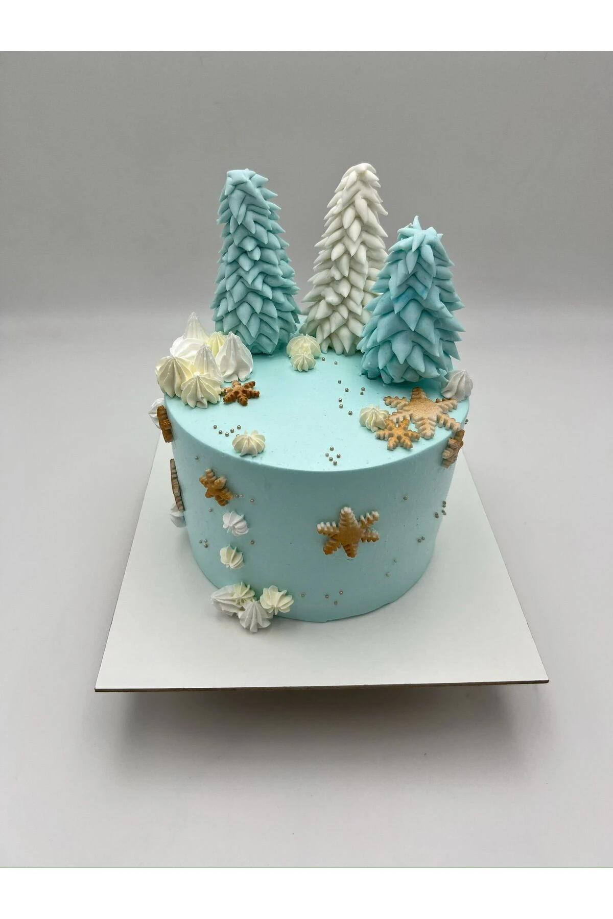 10 Adet 25x25 Cm Mdf Beyaz Pasta Altlığı TINY WONDERS