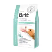 Brit