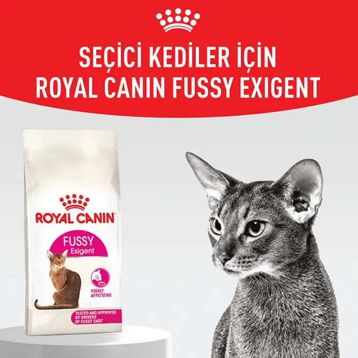 Royal Canin Fussy Exigent Para Gatos - Pack Doble 2x400g - Alto En Proteínas (40%), Para Gatos Muy Selectivos