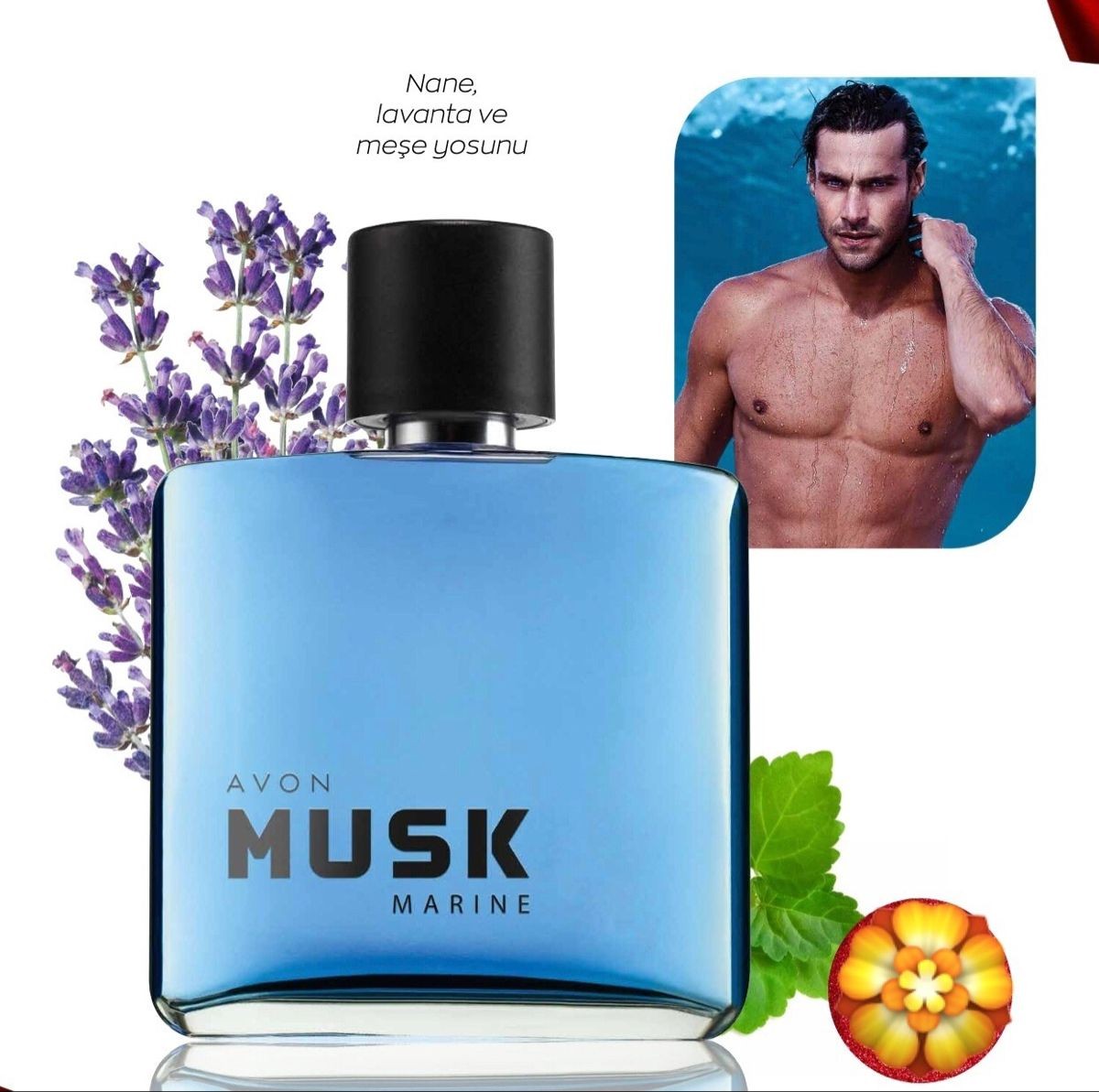 Musk Marine Erkek Parfüm EDT 75ml