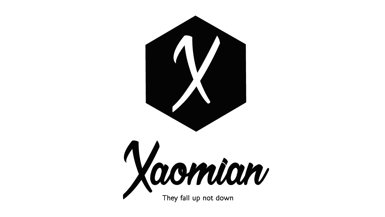 LOGO X