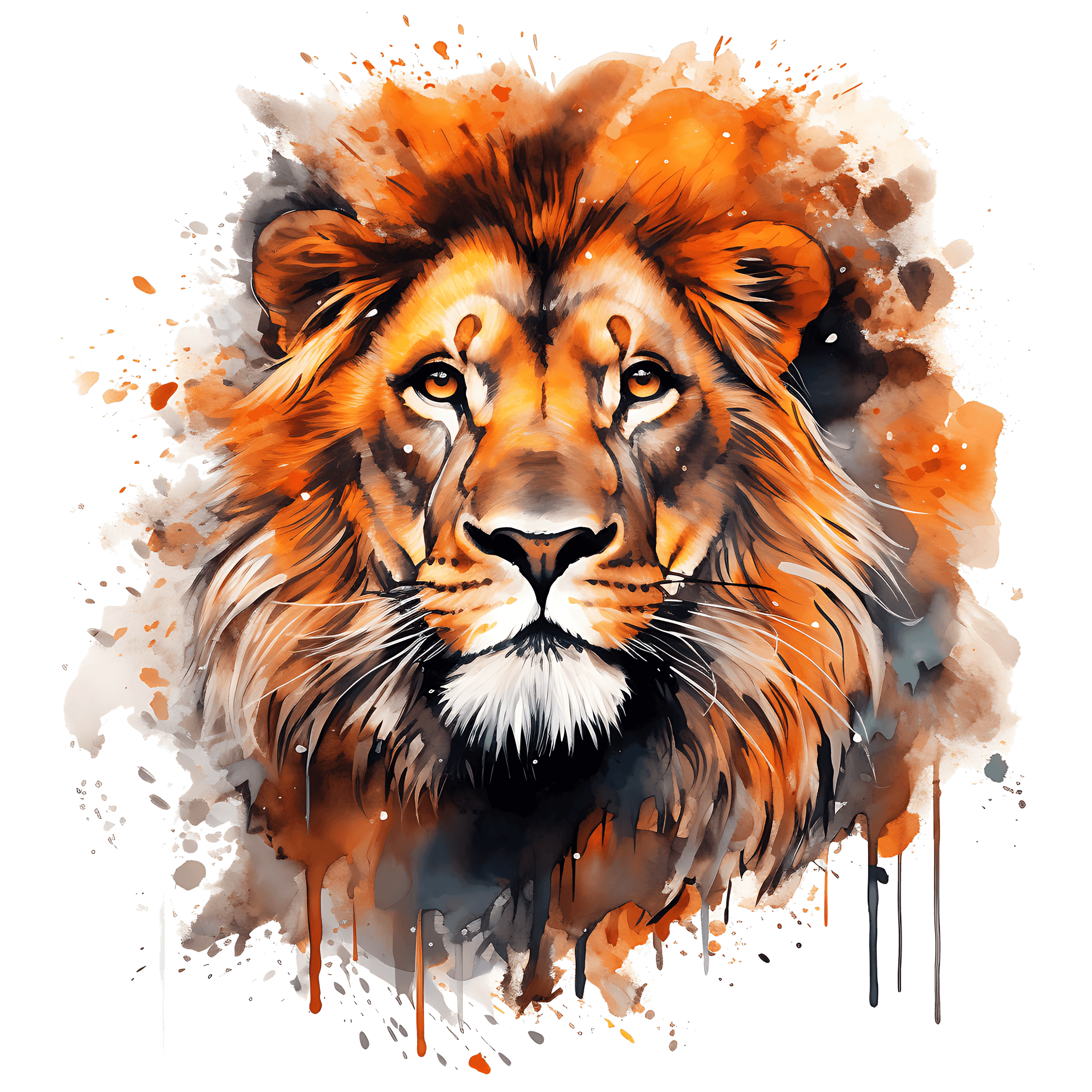 Lion 11