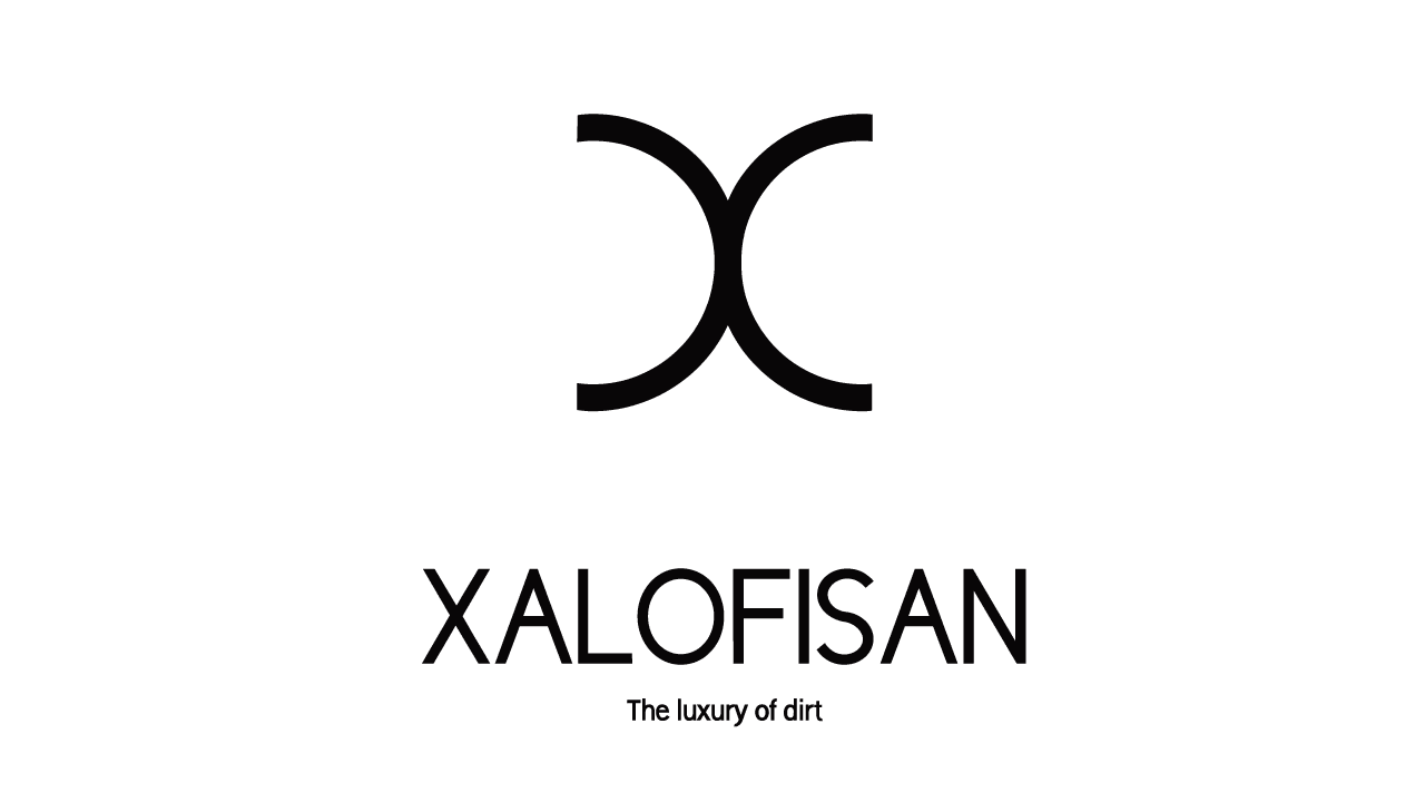 LOGO X