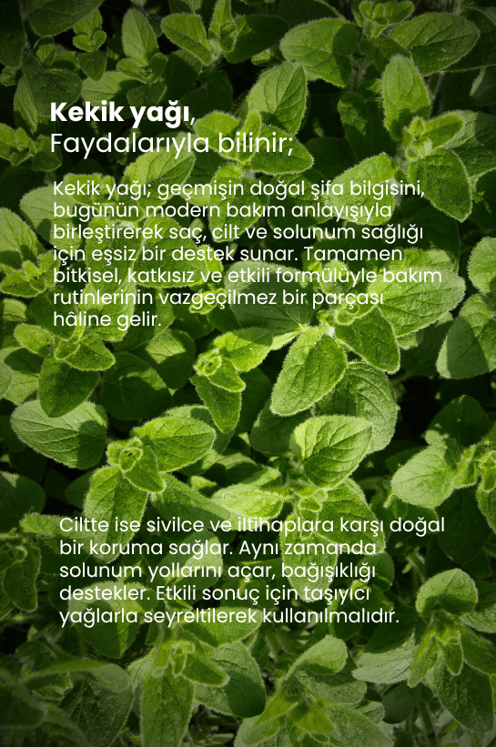 TTO Kekik Yağ