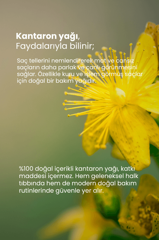 TTO Kantaron Yağı 10 ml