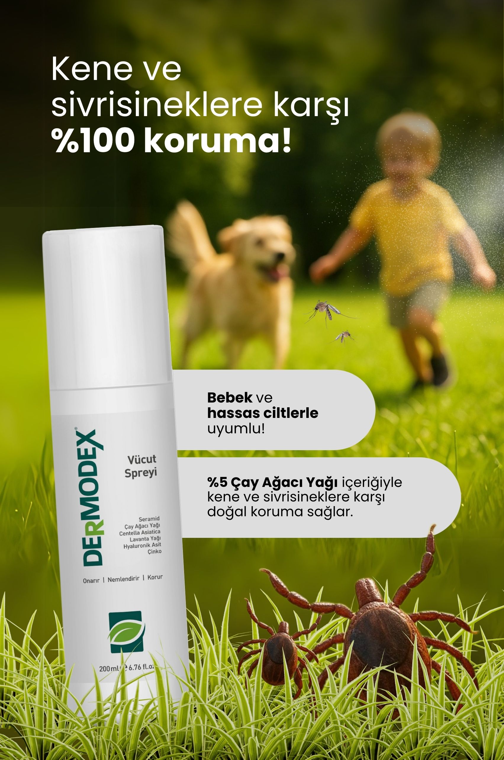 TTO Dermodex Vücut Spreyi – Çay Ağacı Yağı & Salisilik Asit – 200 ml