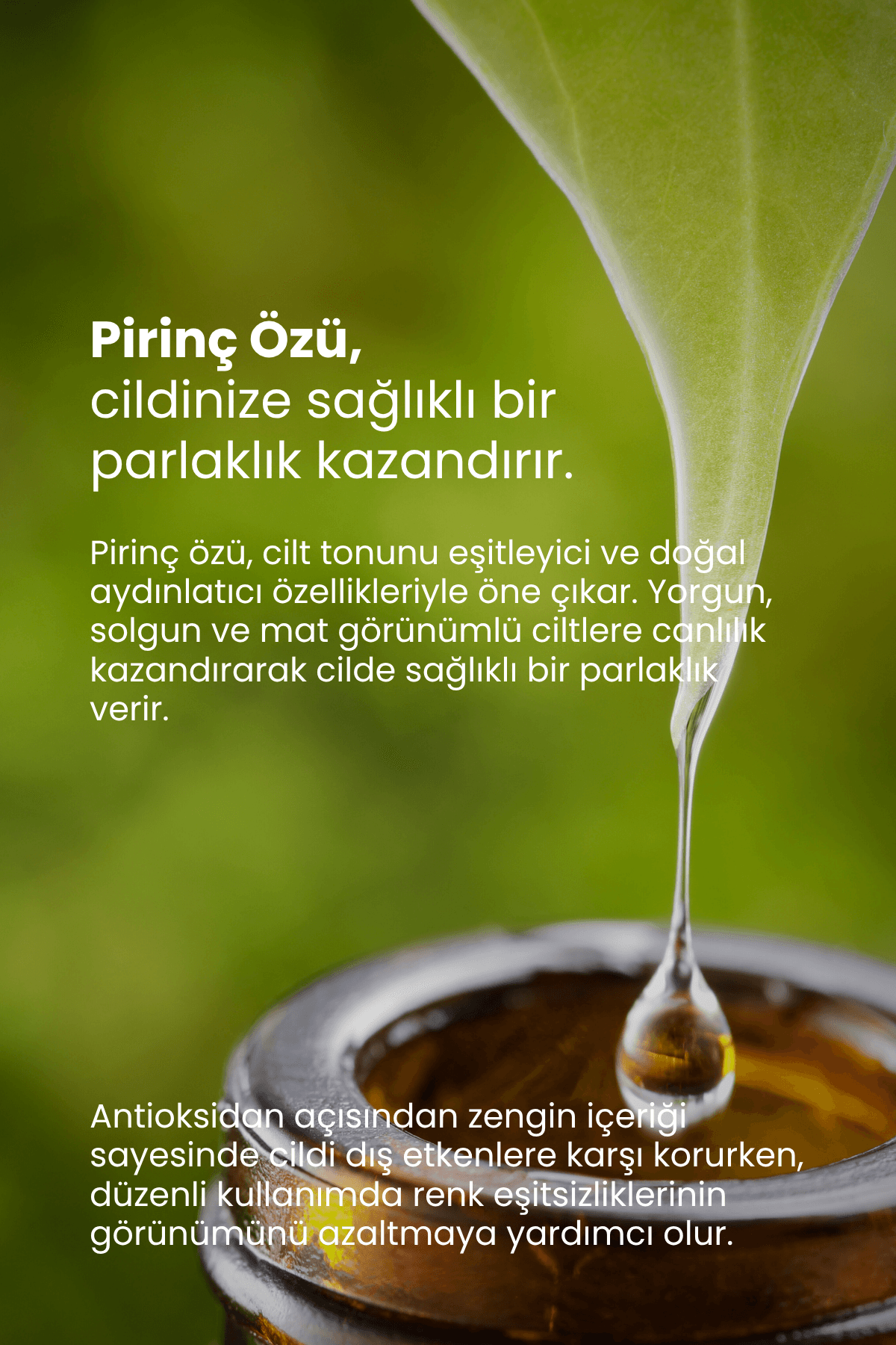TTO THERMAL KİL MASKESİ DENİZ YOSUNU ÖZÜ & PİRİNÇ ÖZÜ