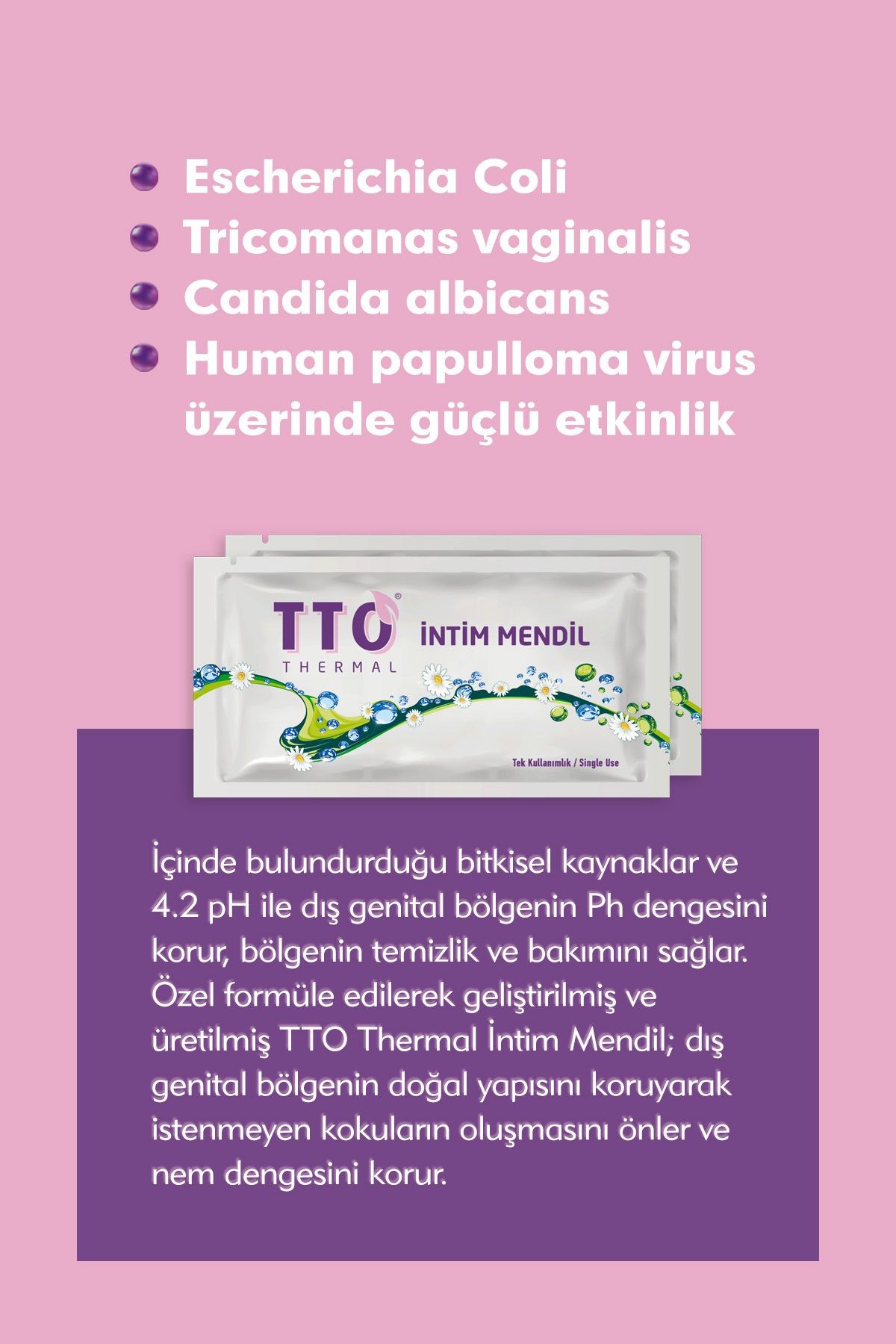 TTO Thermal İntim Mendil 12 Adet