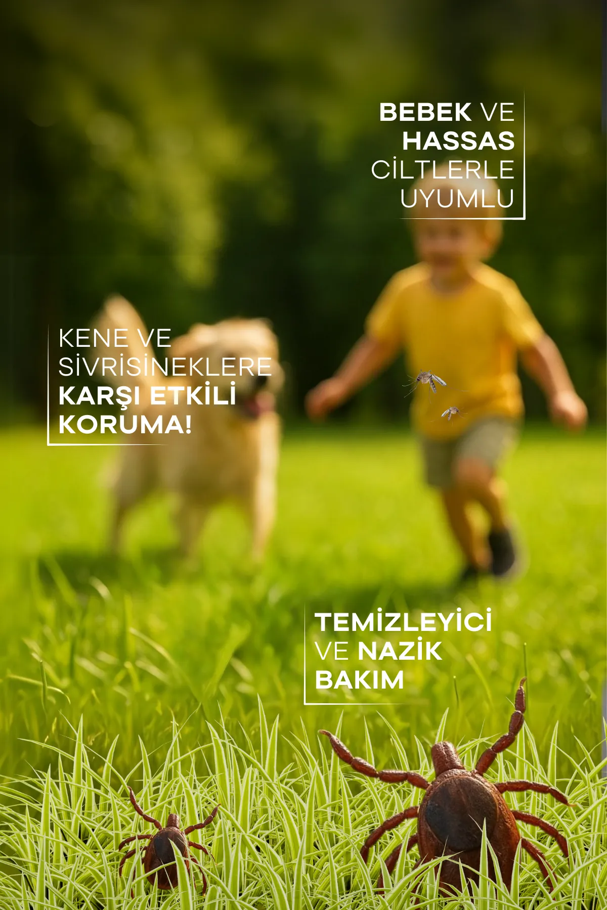 TTO Clinic Dermodex Vücut Spreyi – 200 ml