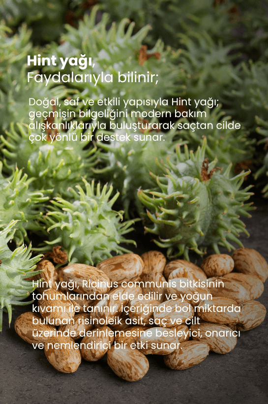 TTO Hint Yağı