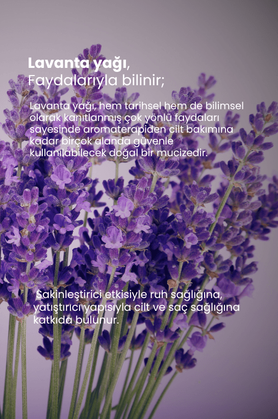 TTO Thermal Lavanta Yağı 10 ml