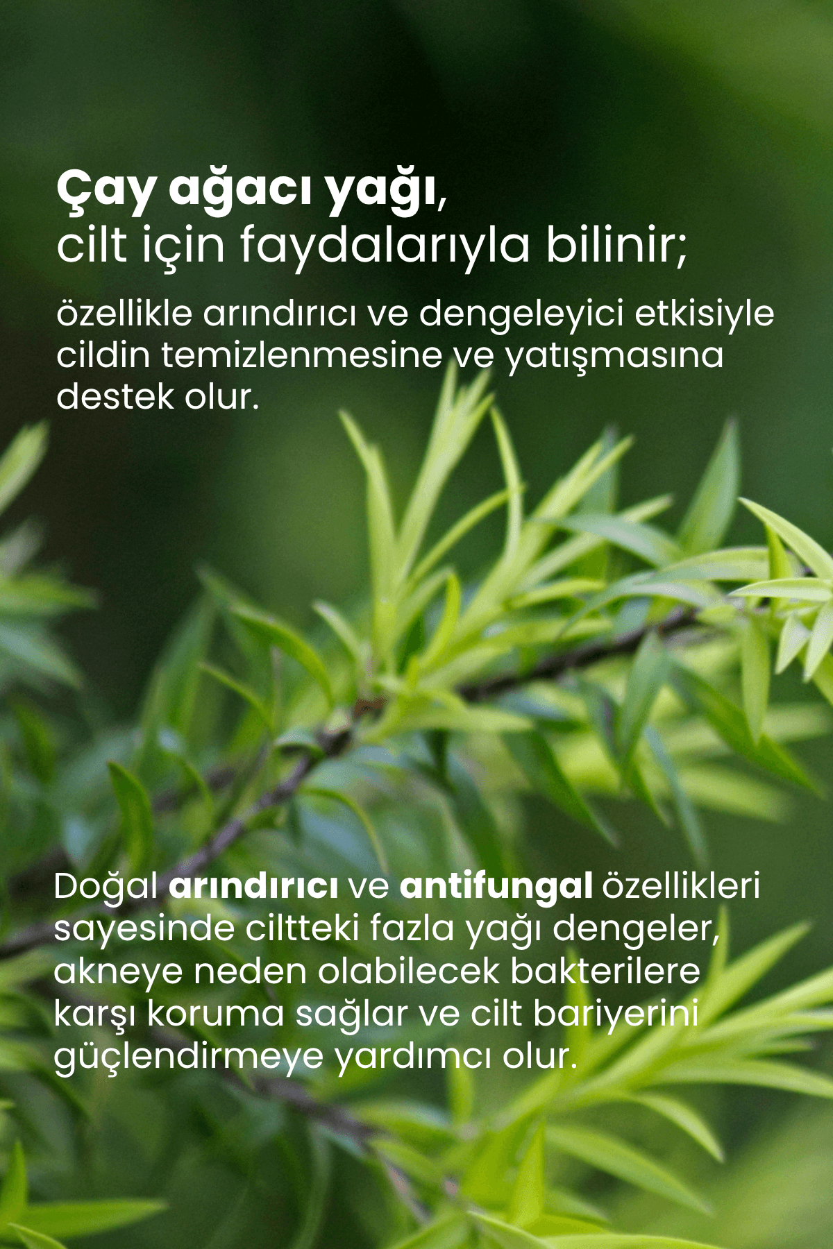 TTO CİLT BAKIM SETİ - 2 (Yüz Temizleme Jeli)