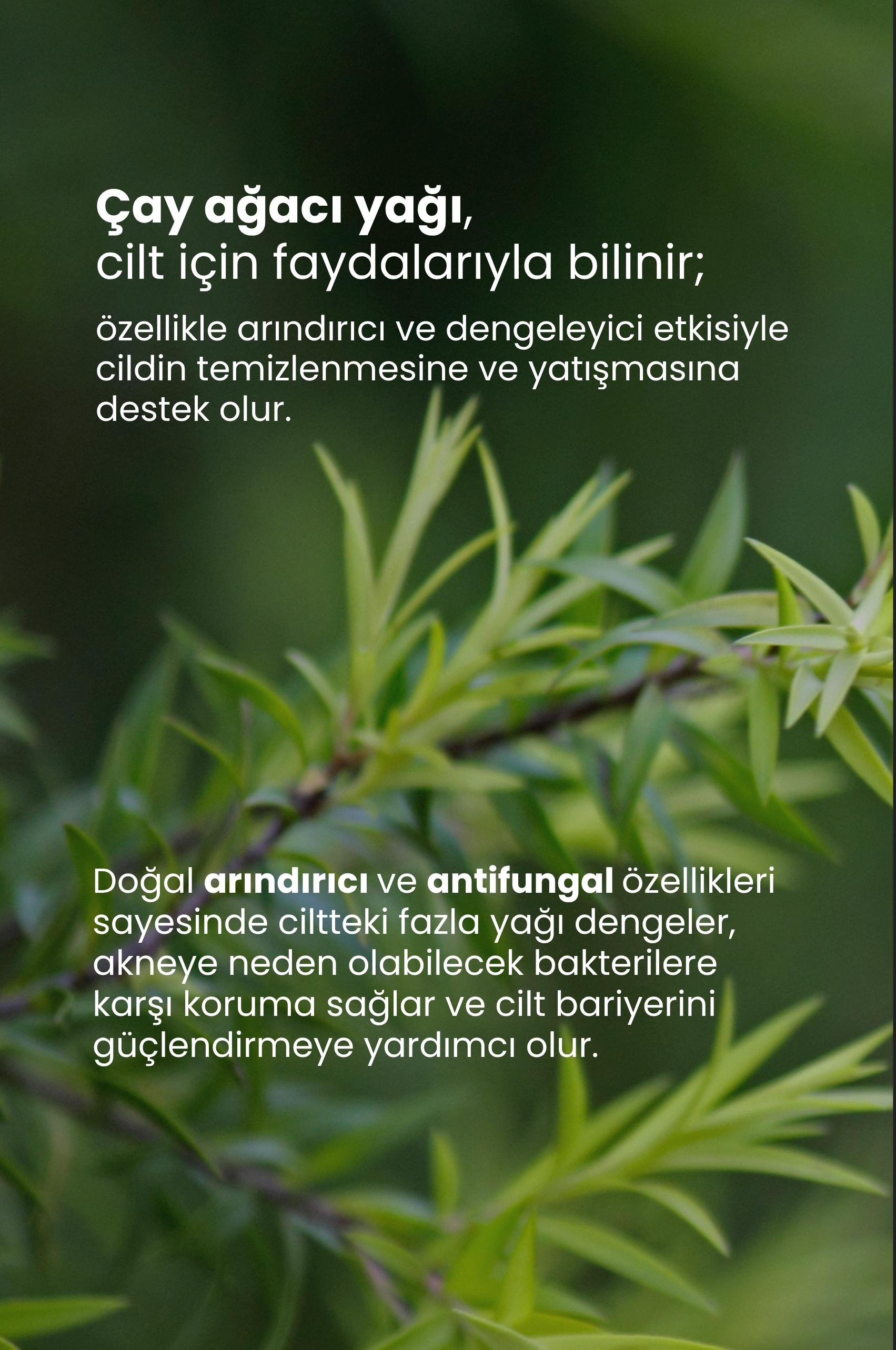 TTO Dermodex Vücut Spreyi – Çay Ağacı Yağı & Salisilik Asit – 200 ml