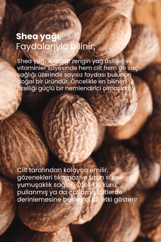 TTO Thermal Shea Yağı 