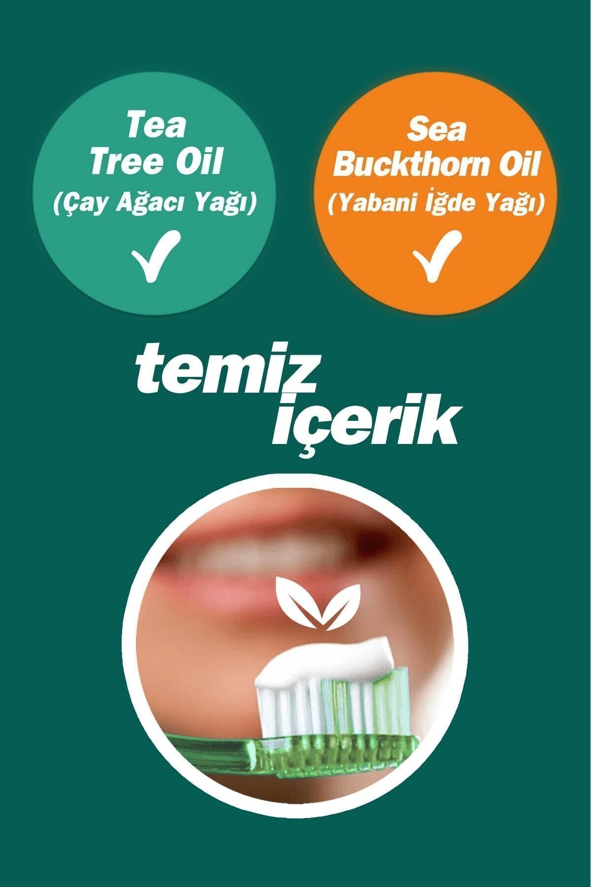 TTO Florürsüz Diş Macunu 75 ml Ağız Kokusu Ve Ağız Yaralarında  ( Çay Ağacı Yağı / Tea Tree Oil )