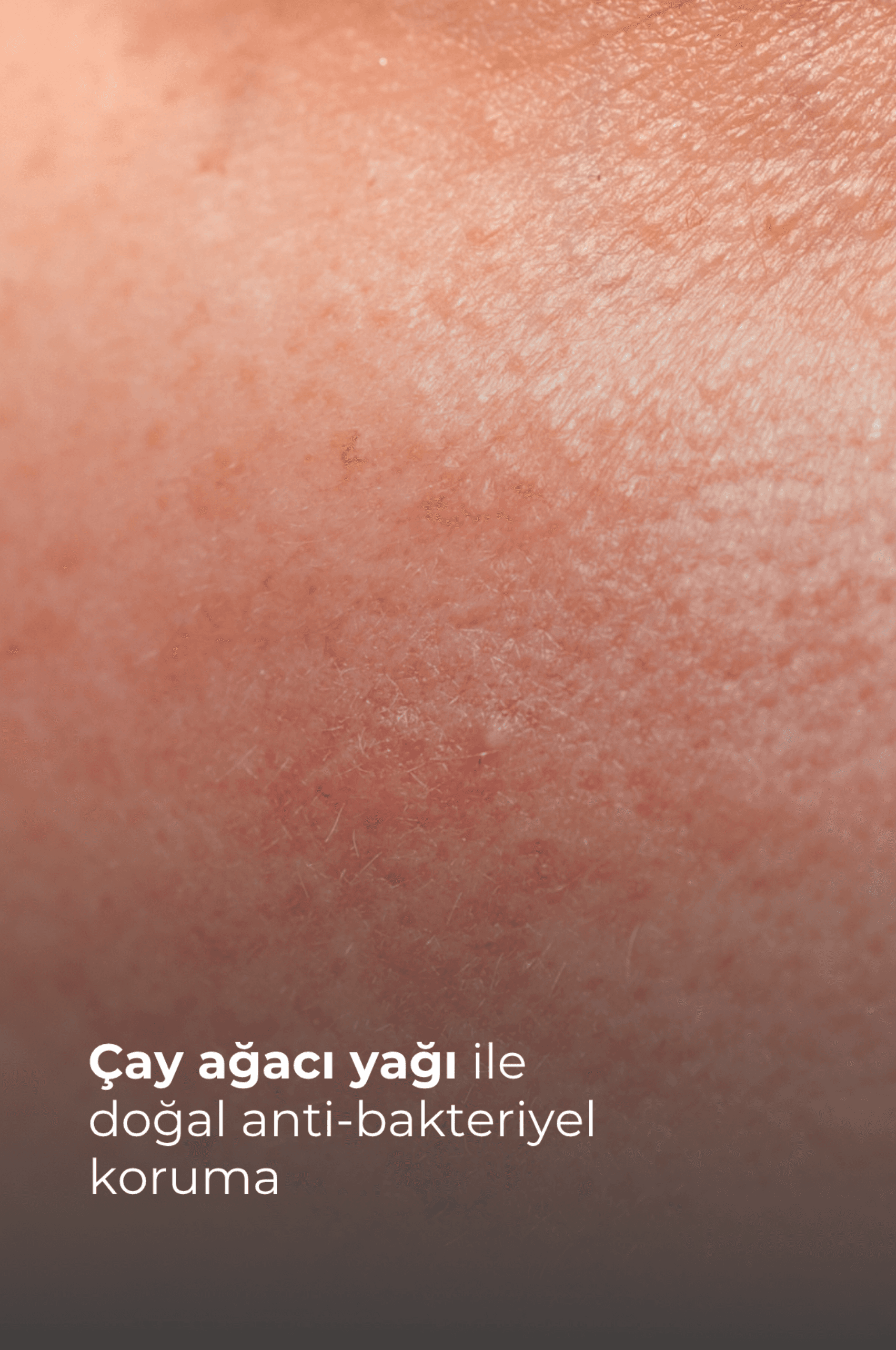TTO Rozasea Başlangıç Paketi 1 (Çay Ağacı Yağı / Tea Tree Oıl)