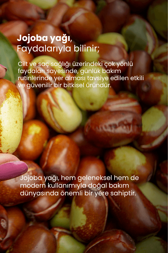 TTO Thermal Jojoba Yağı 10 ml