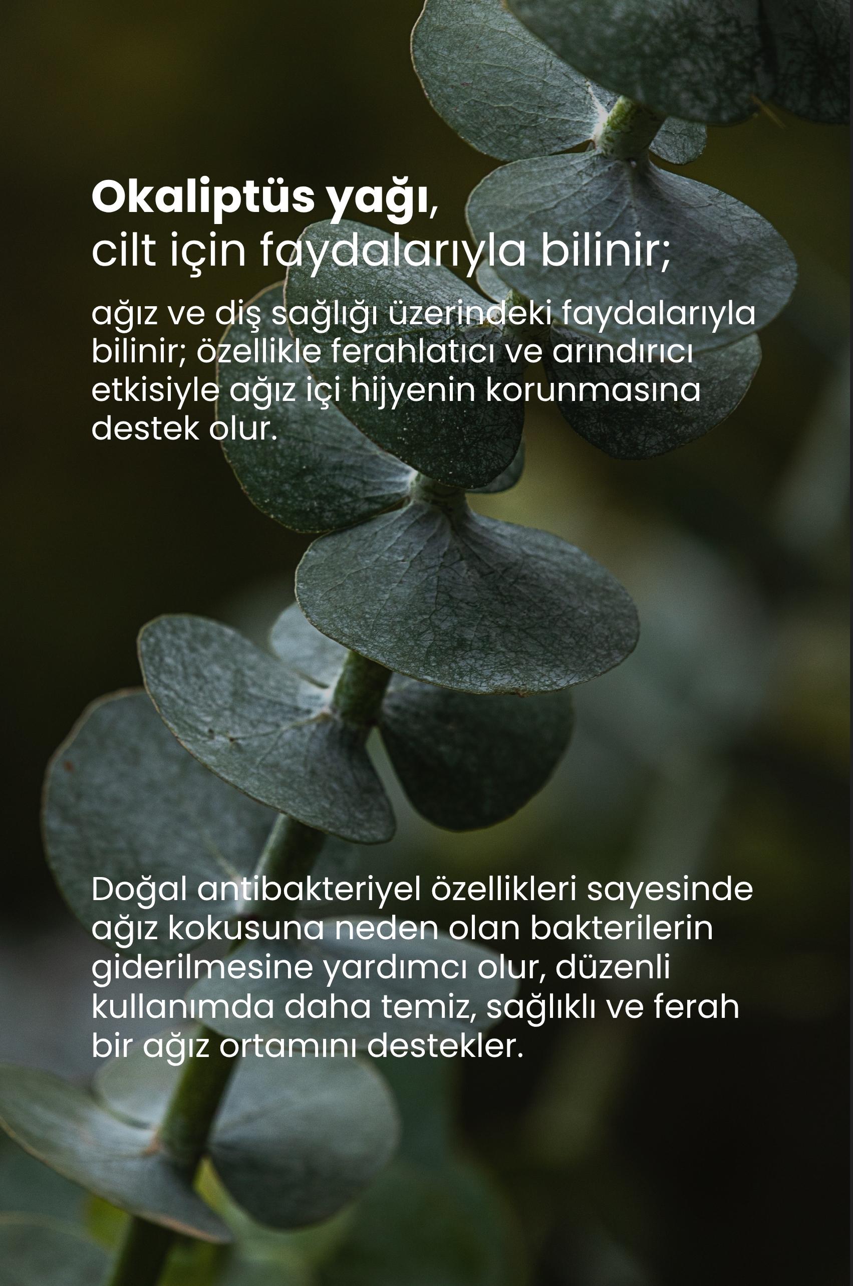 Tto X Hassas Dişler Ve Diş Etleri İçin Beyazlatıcı Diş Macunu