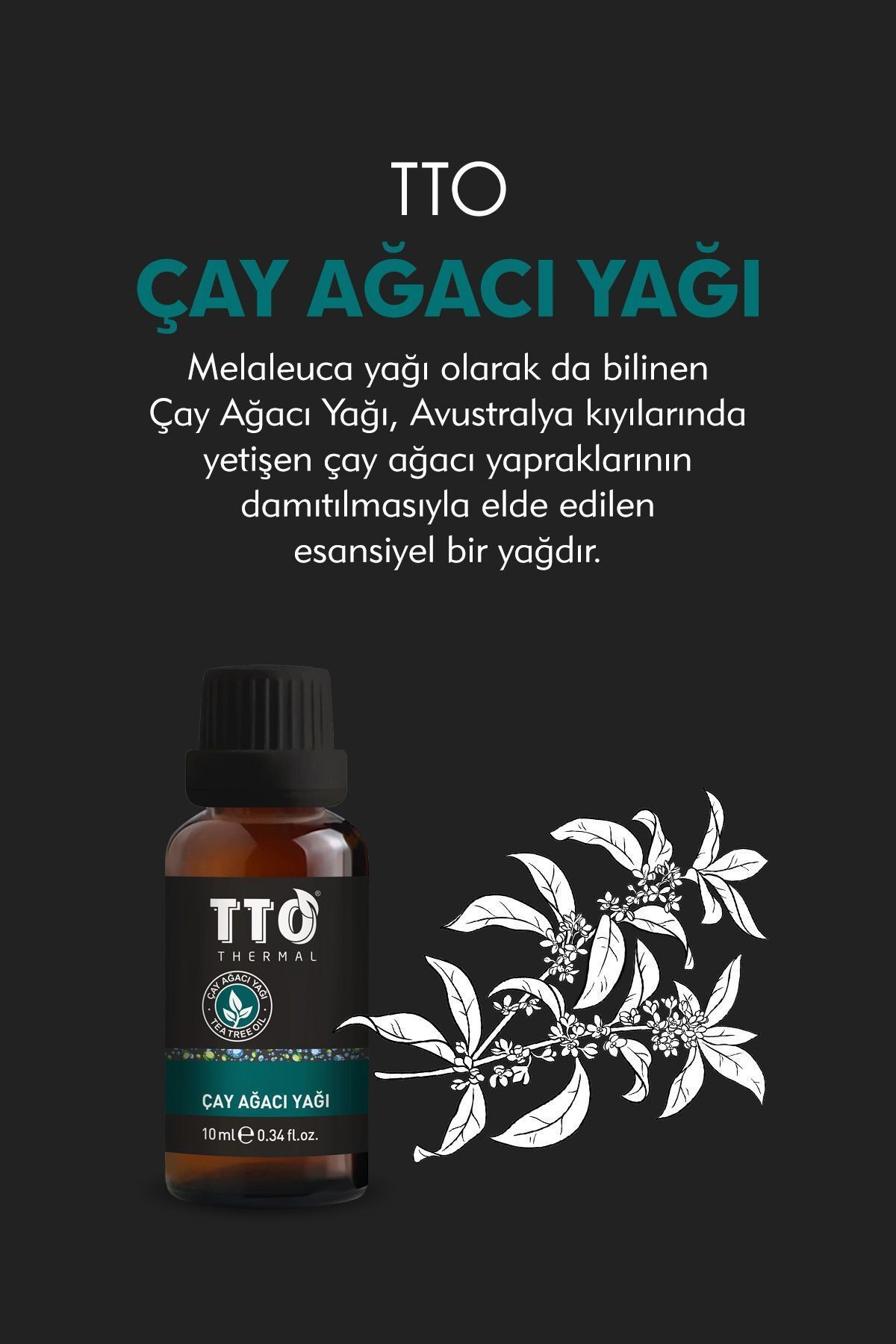 TTO Saf Ve Doğal Çay Ağacı Yağ Tea Tree Oil