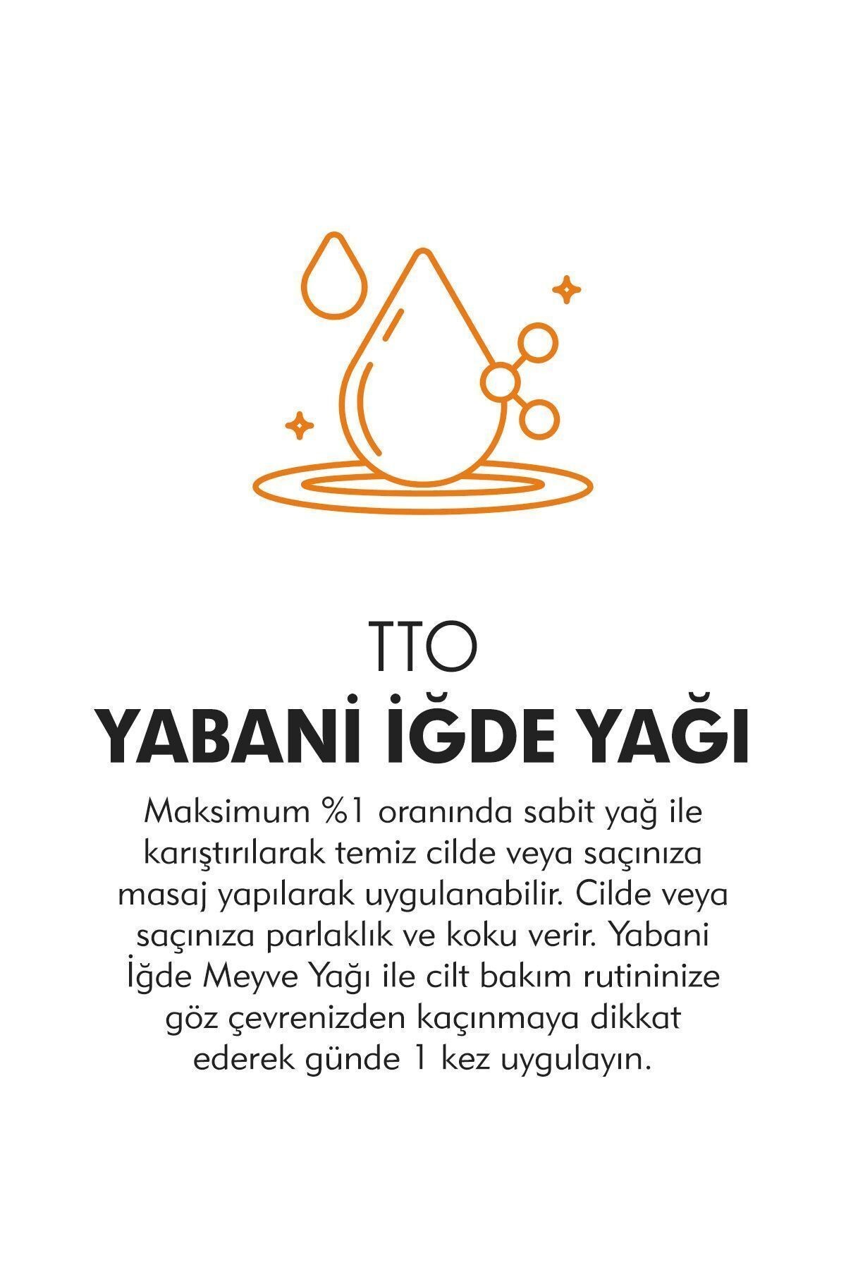 TTO Yabani Iğde Yağı 10 ml ( Sea Buckthorn Oıl - Yalancı Iğde Yağı )