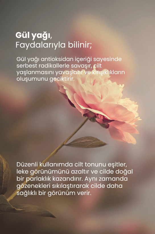 TTO Thermal Gül Yağı 10 ml 